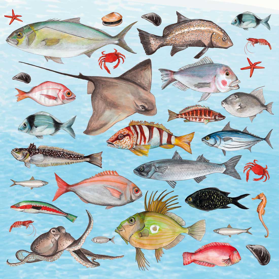 Un dia de pesca - Imatge 2