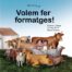 contes curts en català